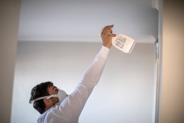 Best Bathroom Mold Remediation in Litchfield, MN
